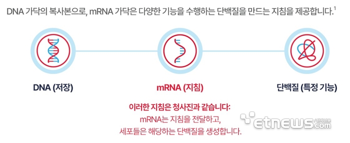 [스페셜리포트]mRNA 독감 백신 상용화 어디까지