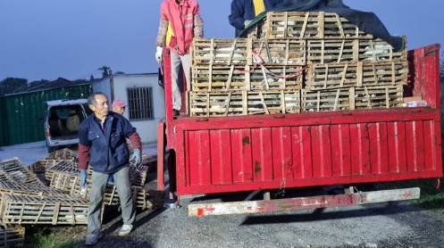 중국에서 양고기로 둔갑해 판매될 예정이었던 고양이 1000여 마리가 도축장으로 실려가던 중 현지 경찰에 의해 구조됐다. 사진=트위터 Voice of Europe
