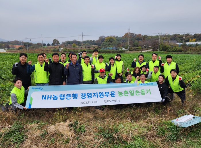 NH농협은행 김길수 부행장 및 경영지원부문 임직원들이 농촌일손돕기를 실시하고 기념사진을 촬영하고 있다