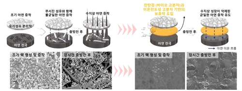 잔탄검 기반의 보호막 도입으로 균일한 아연 증착 유도 이미지