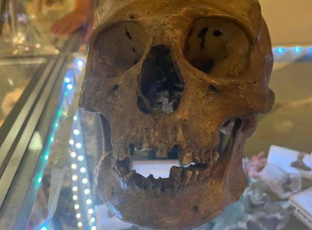 미국의 한 중고품 가게 핼러윈 코너에 장식된 해골이 진짜 인간의 해골로 밝혀져 경찰이 수사에 나섰다. 사진=트위터 Fox News