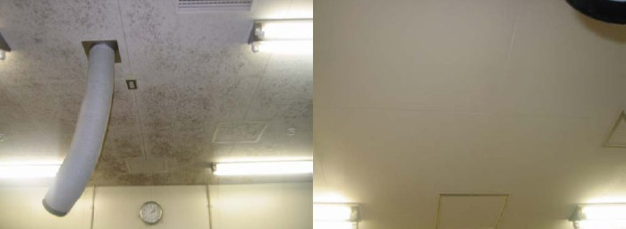 주방 천장에 핀 곰팡이 모습과 가이나 코리아 시공 후 1년이 지난 모습(제공:제이솔루션)