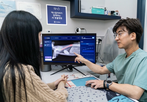 수도권 소재 동물병원에서 수의사가 엑스칼리버를 활용해 고양이의 엑스레이 사진을 판독하고 진료하는 모습 (사진=SKT)