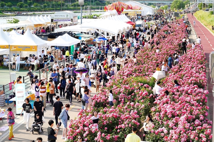 서울 중랑구 10대 뉴스 1위로 선정된 서울장미축제의 모습. 사진=중랑구