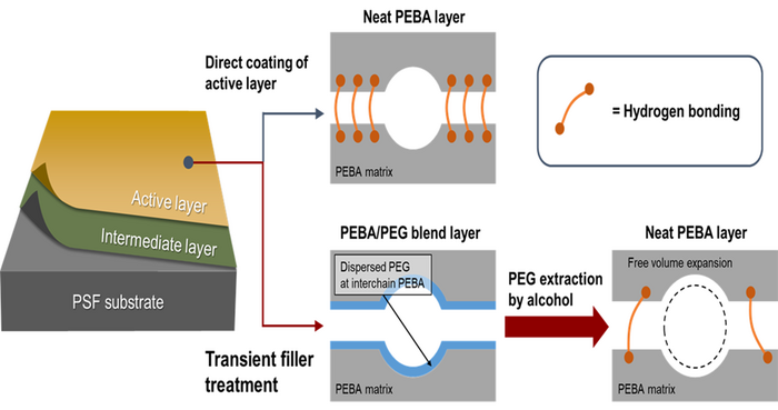 한국화학연구원과 안전성평가연구소 연구팀이 개발한 박막복합막 개념도. 기존 PEBA 소재 수소결합을 PEG로 제어해 결정성을 낮춘 후 후처리 공정으로 PEG를 제거해 CO₂ 고투과막을 제조한다.