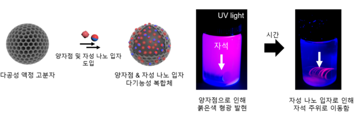 양자점 및 자성 나노입자 도입을 통한 다기능성복합체 제작