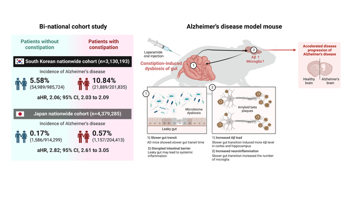느린 장 운동과 알츠하이머병의 위험도 증가 사이의 연관성을 한국과 일본 2개 국가 코호트 연구 및 알츠하이머병 마우스 모델 연구 통해 규명.