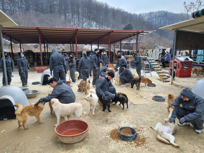 이마트, 하림펫푸드 임직원들이 봉사활동을 하고 있다.