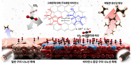 비타민 C 증강 구리 나노선 촉매를 활용한 이산화탄소 환원 기반 에틸렌 대량 생산 기술 모식도