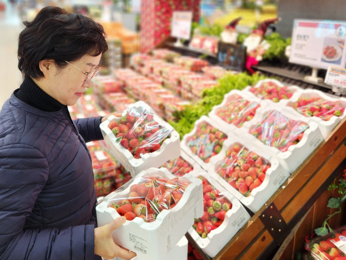 고객이 롯데마트 안산점 과일 매장에서 한입 꼬마 딸기 상품을 구매하고 있다.