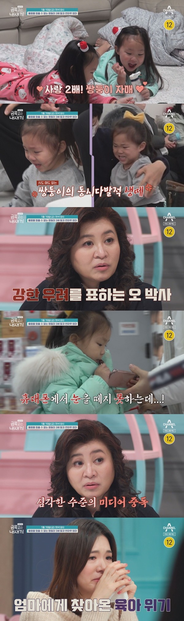 '금쪽같은 내새끼' 미디어 삼매경 쌍둥이…오 박사 "당장 멈춰야"