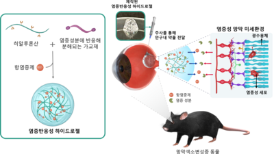 기사 썸네일