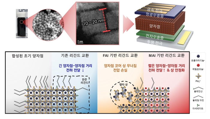 [연구그림] 유기계 페로브스카이트 양자점 소재와 이를 이용한 태양전지 구조 및 리간드 치환 방식 모식도