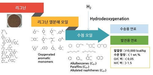 리그닌의 열분해 및 수첨 업그레이딩을 통한 드롭인 바이오연료 생산 공정 모식도. 제정호 부산대 교수 제공