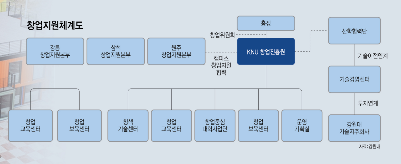 창업지원체계도,창업지원 총괄조직 'KNU창업진흥원' 신설