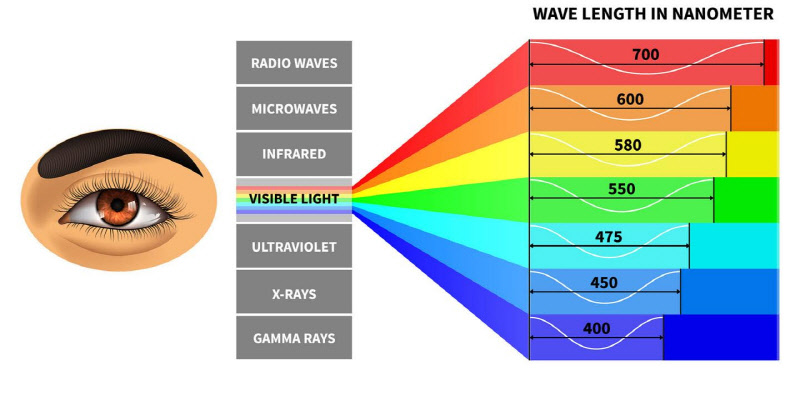 Cor da luz visível por comprimento de onda (Fonte: Zeiss)