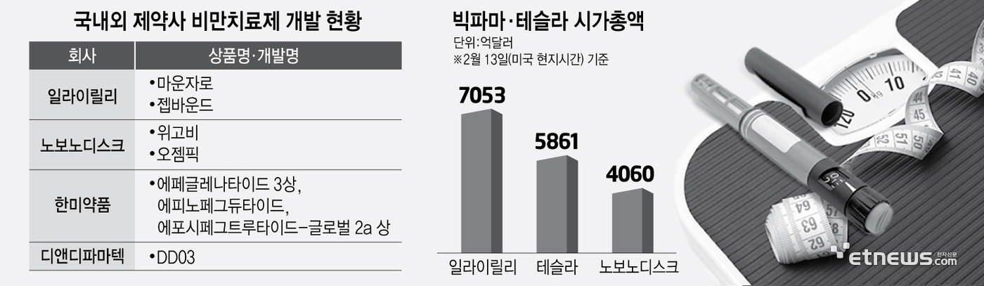 비만치료제 대박에 덩치 키우는 빅파마…韓 기업도 개발 잰걸음