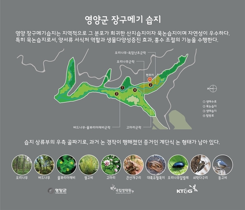 경북 영양군 '장구메기 습지' 안내판. [자료:KT&G]