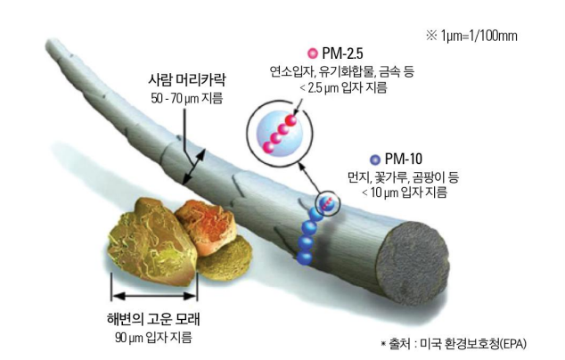 미세먼지 크기 비교 / 출처: 환경부