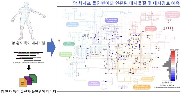 암 체세포 돌연변이와 연관된 대사물질 및 대사경로를 예측하는 컴퓨터 방법론 모식도.