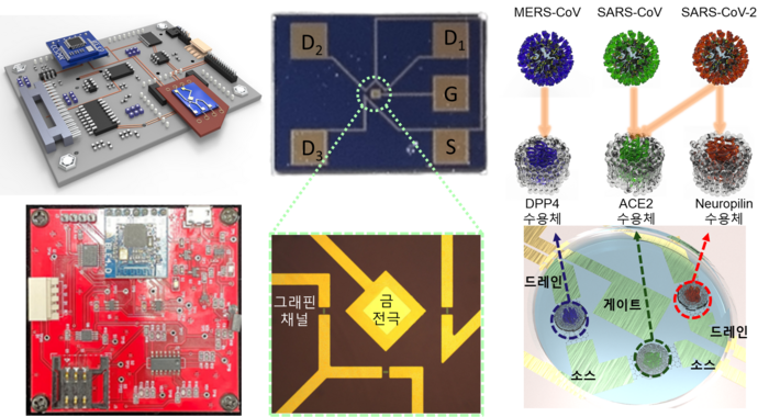 신·변종 호흡기 바이러스 현장 신속진단 센서와 그래핀 트랜지스터 표면