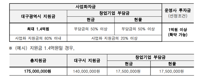 대구시 민간투자 연계형 기술사업화 지원사업의 사업비 내역