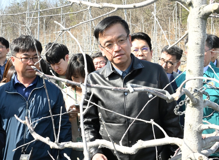 최상목 부총리가 1일 대구 군위군에 위치한 사과 농가에서 생육 상태를 점검하고 농협 및 군위군 관계자들로부터 설명을 듣고 있다.