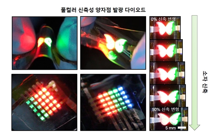 연구진이 개발한 본질적 신축성의 퀀텀닷 발광소자와 소자 신축에 따른 발광 성능. IBS 제공