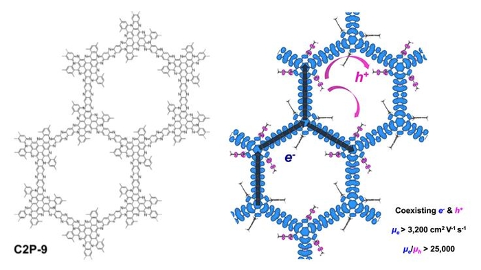 펜던트가 도입된 전도성 이차원 고분자(C2P-9)의 화학구조와 정공(P형) 도핑 시 초고속 전자와 공존함을 나타내는 모식도.