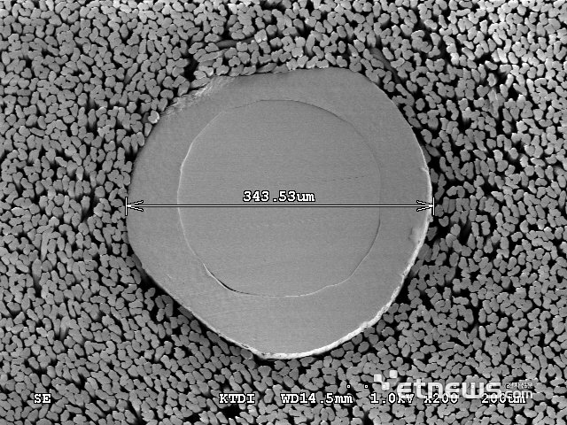 한국섬유개발연구원이 개발한 이중층 구조 메디컬 섬유의 단면