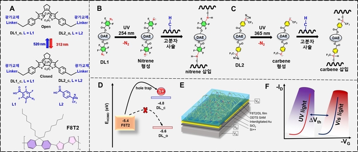 A. 광 가교제가 포함된 분자스위치의 분자구조와 함께 사용된 F8T2 고분자
 B,C. 분자스위치의 말단 광 가교제와 F8T2 고분자의 가교. 각각 DL1과 DL2
 D. 분자 스위치-닫힌 구조일 때의 hole trap을 나타내는 모식도
 E. 연구된 메모리 트랜지스터 구조
 F. 분자스위치의 닫힌 구조(빨간색), 열린 구조(검정색)의 문턱 전압 변화