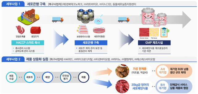 경북 세포배양식품 규제자유특구 사업 개념도