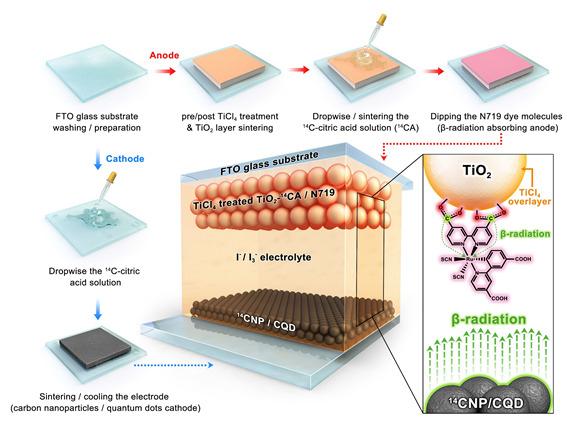 인수일 DGIST 교수팀이 개발한 양방향 방사성동위원소 염료감응 베타전지 제작방법을 표현한 모식도.