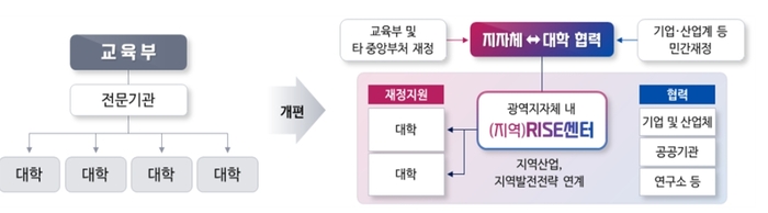 교육부의 지역혁신중심 대학지원체계(RISE). (자료=교육부)