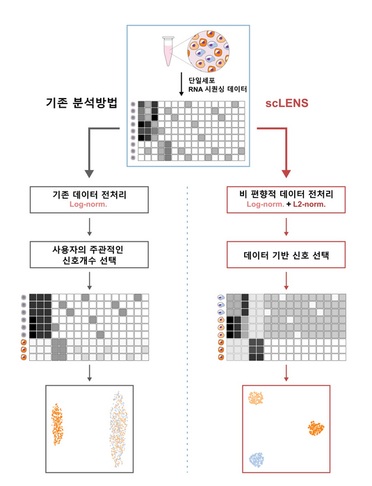 scLENS 개요