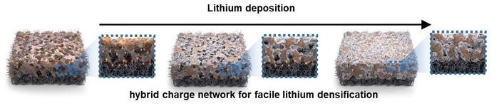 리튬 전착에 따른 하이브리드 구조체 내부 형상 모식도.