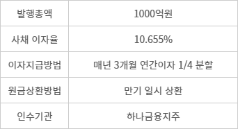 하나손해보험 신종자본증권 주요 내용 - (자료=하나손해보험 수시공시)