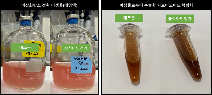 이산화탄소를 먹이로 사용해 생산한 카로티노이드 추출물.