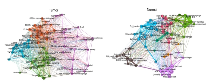 암과 정상 조직의 세포 생태계 네트워크 비교