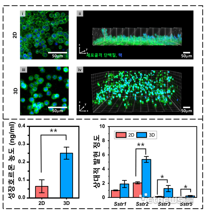 2D 세포배양과 3D 세포배양 비교.