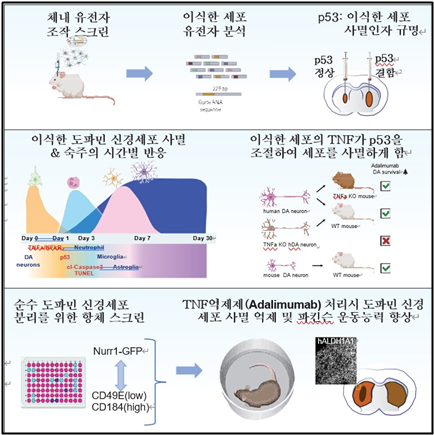 김태완 교수의 연구관련 이미지