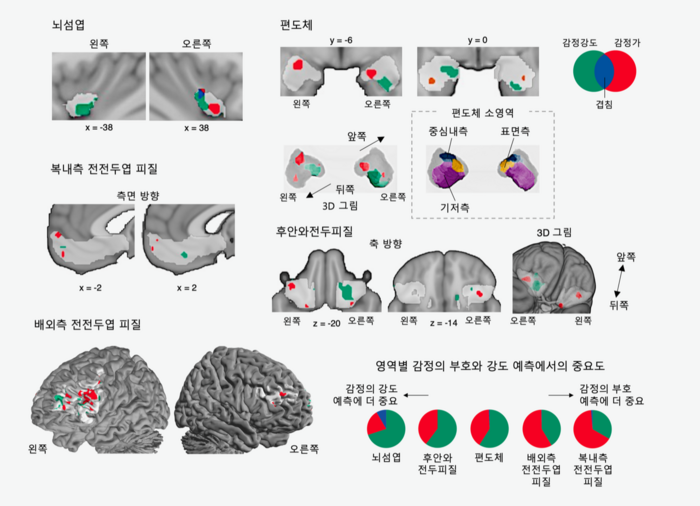 통증과 쾌락의 감정 정보 예측에 중요한 뇌 영역들.