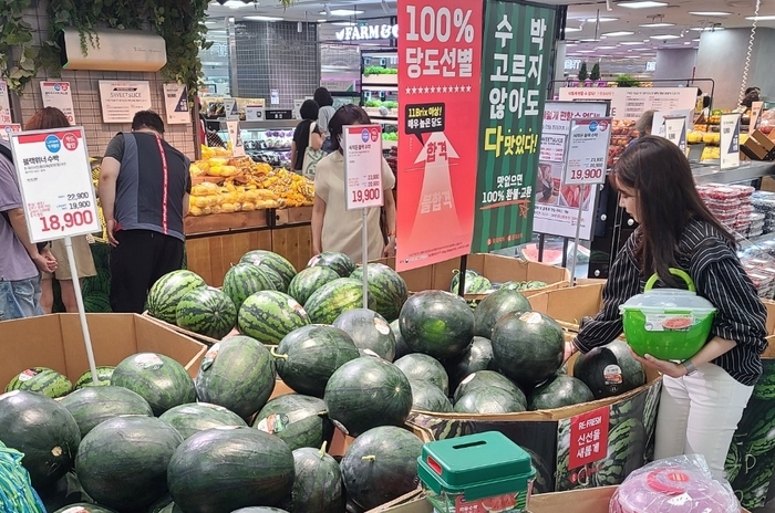 고객이 롯데마트 제타플렉스 잠실점에서 수박을 구매하고 있다.