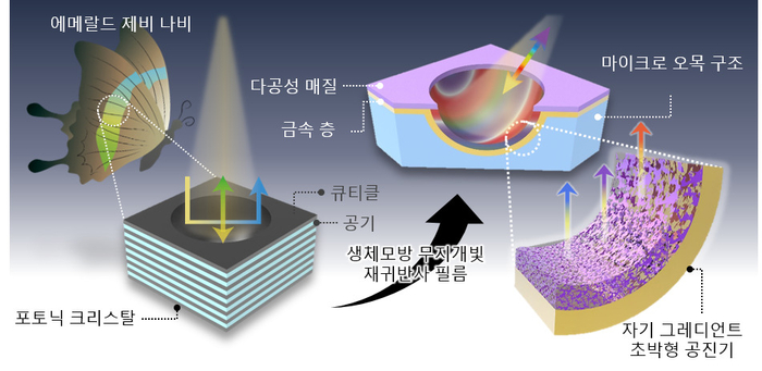 생체모방 재귀반사 플랫폼의 구조적 특징.