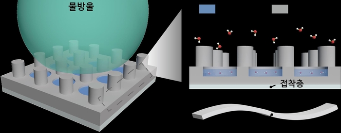 포스텍 연구팀이 물방울에 대해 초발수성을 가져 자가 세정성을 띠면서도 물 분자는 하이드로젤 내에 선택적으로 흡수돼 김 서림을 방지할 수 있는 다기능성 테이프 기술을 개발했다.