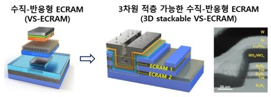 수직-반응형 ECRAM 시냅스 반도체 소자(왼쪽)와 3차원 다중 수직-반응형 ECRAM 시냅스 반도체 모식도 및 투과전자현미경(TEM) 단면 사진.