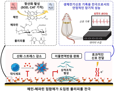 항산화능이 도입된 폴리피롤헤민-헤파린 전극의 모식도.