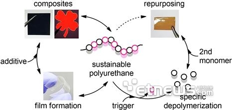 전남대 연구팀의 분해성 폴리우레탄 소재 개발 그래픽.