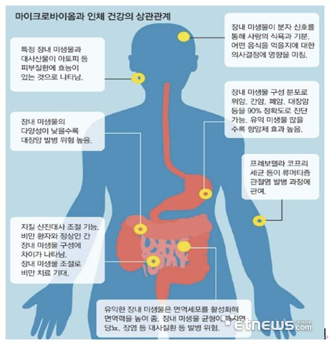 마이크로바이옴과 인체 건강과의 상관관계(자료: 생명공학연구원)