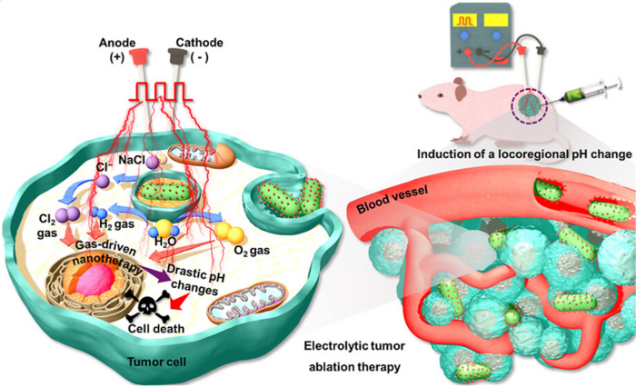 금나노막대를 활용한 전기화학적 암치료 기술 메커니즘 이미지